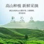 茶浓缩冷萃液