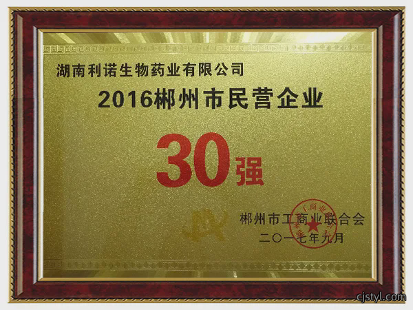 民营企业30强