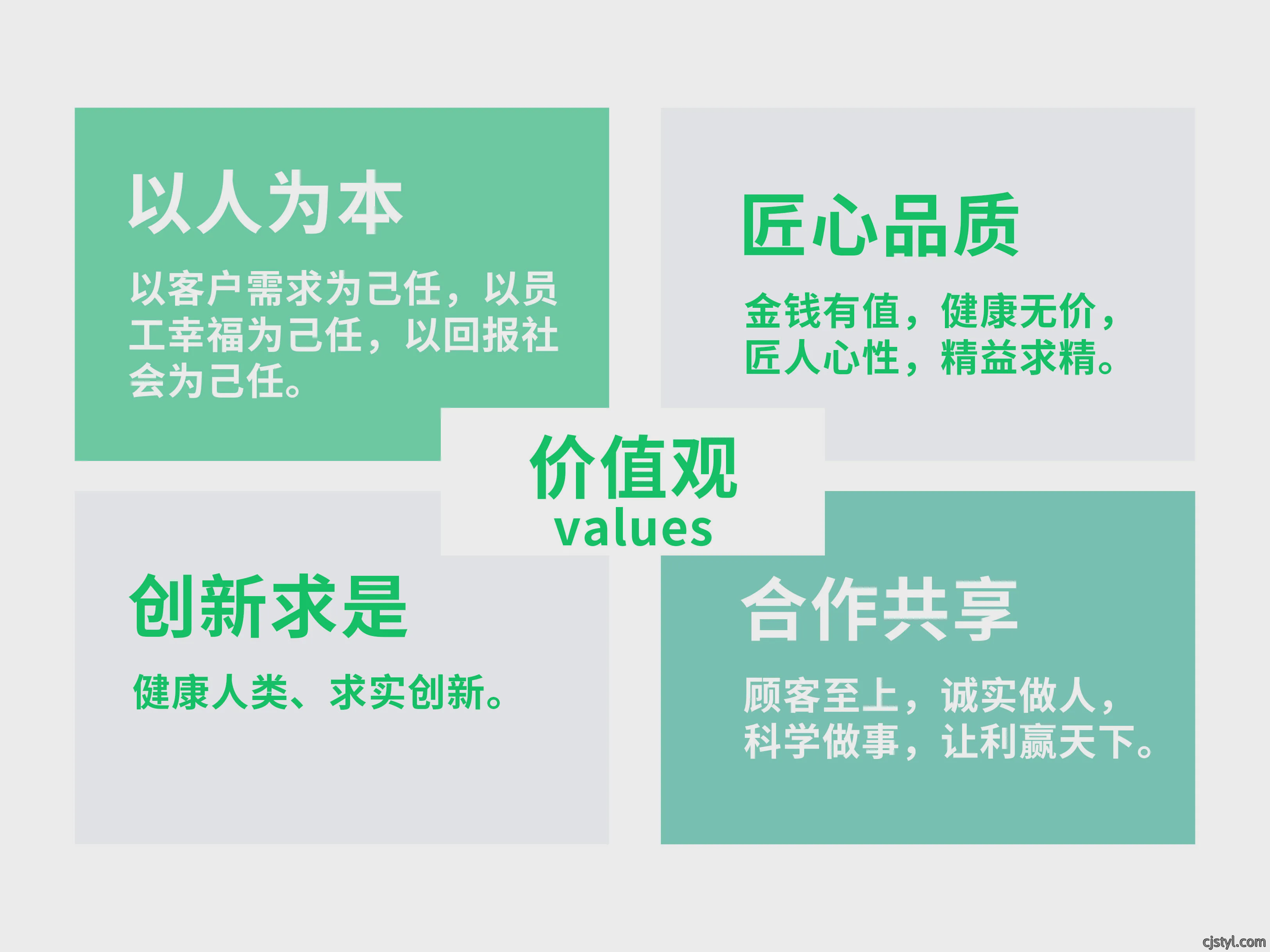 公司使命