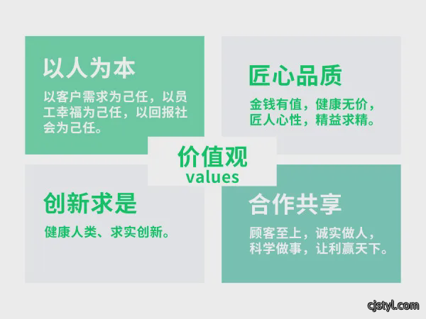 公司使命