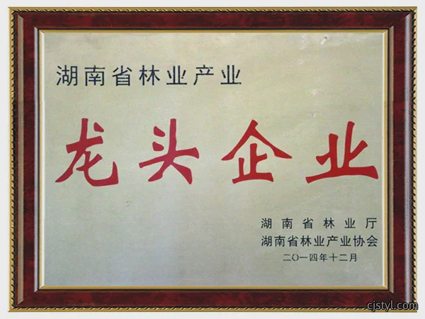 湖南省林业产业龙头企业